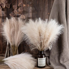 White Faux Pampas Grass Decor Auraveia